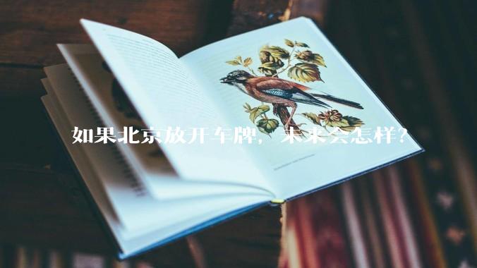 如果北京放开车牌，未来会怎样？